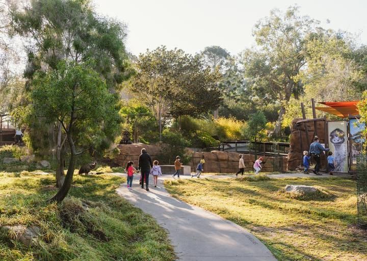 woman preparing animal food