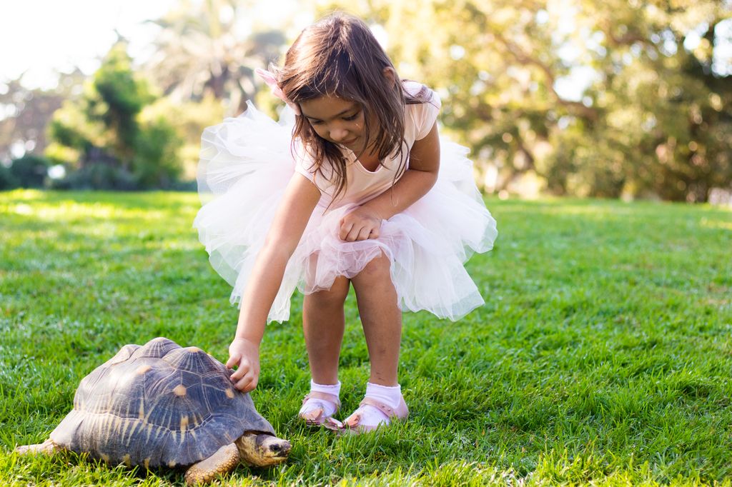 young girl petting a radiated tortoise